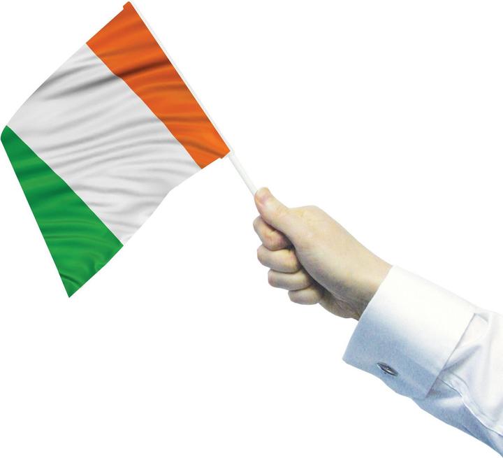 Actual product image Amscan Flag Of Ireland Waving Flag (Pack of 4)