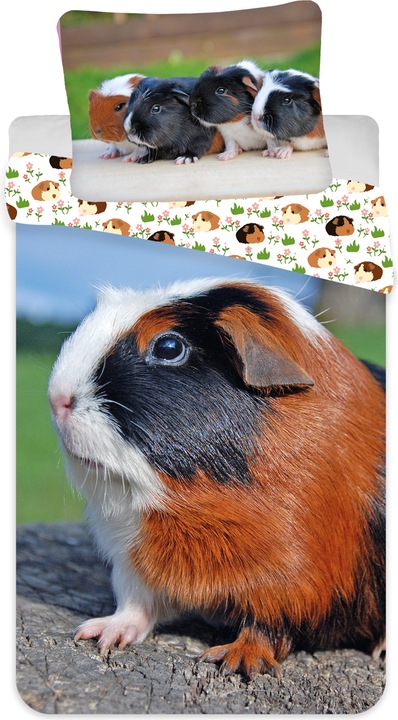 Produktbild Tinisu Meerschweinchen Bettwäsche - 140x200 cm weiche Baumwolle Kissen und Decke