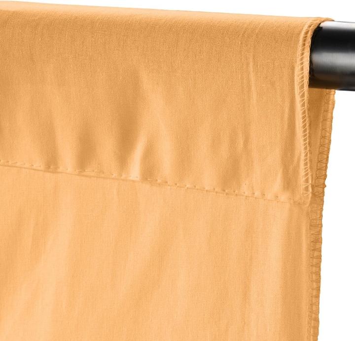 Apricot