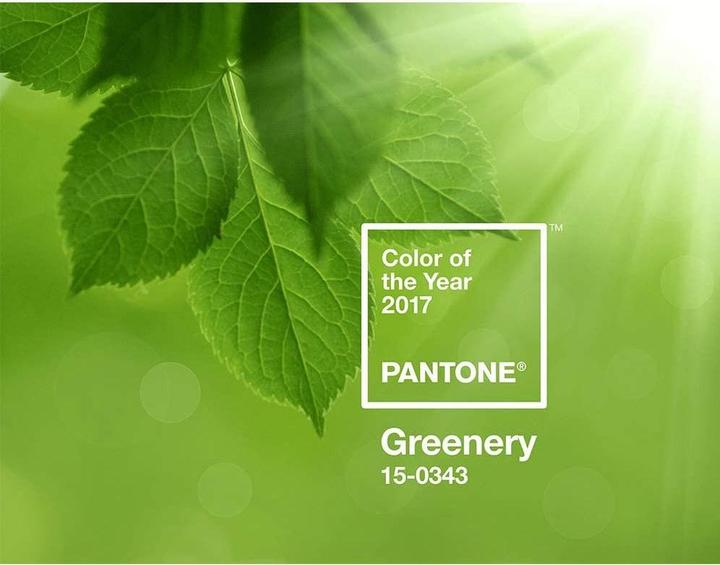 Image du produit Pantone Schlüsselanhänger
