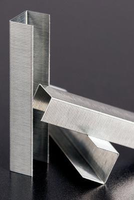 Produktbild Rapid Standard (1000 x)