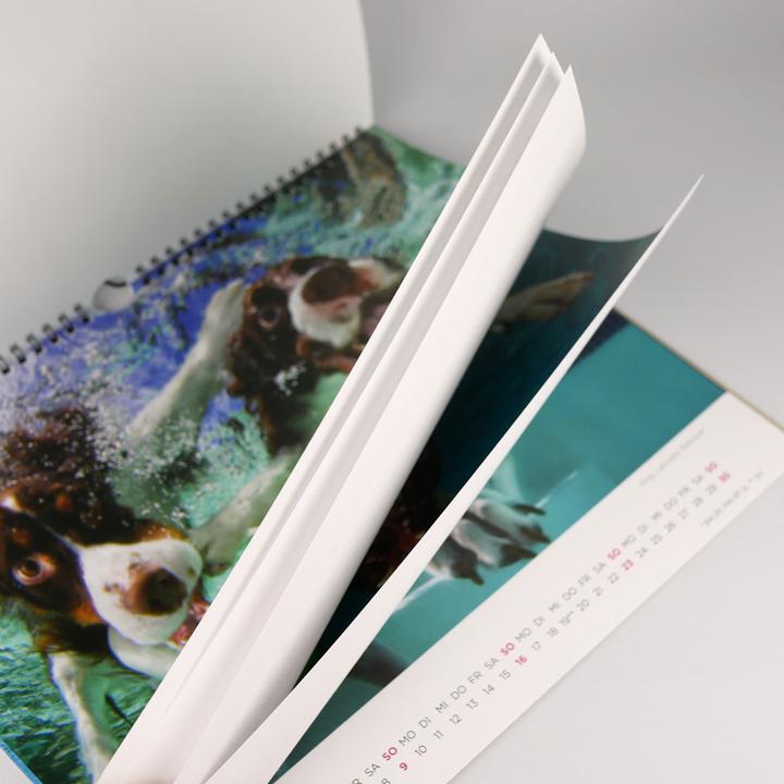 Produktbild Hunde unter Wasser 2025