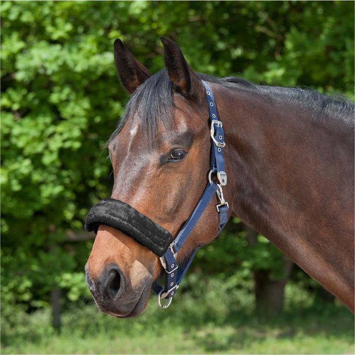 Produktbild Waldhausen Nasen- oder Genickschoner