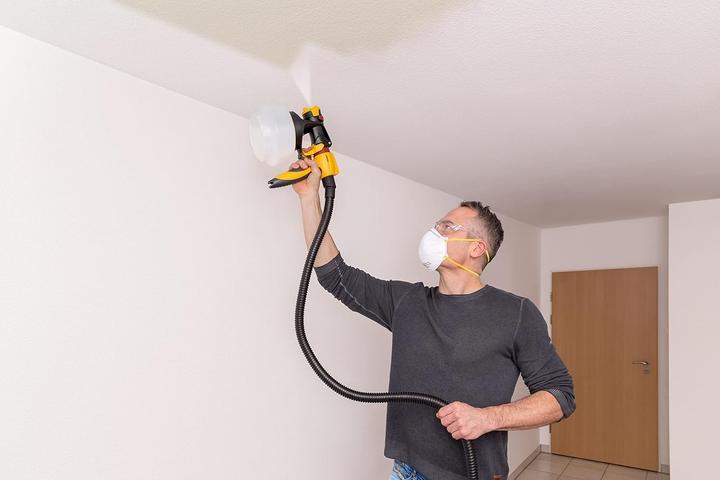 Actual product image Wagner Flexio W 690