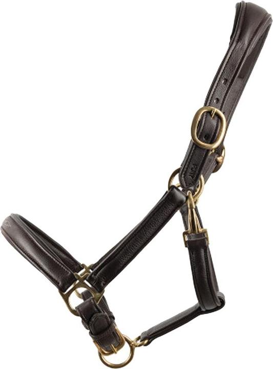 Image du produit Hy - Licol PROPRESICCE