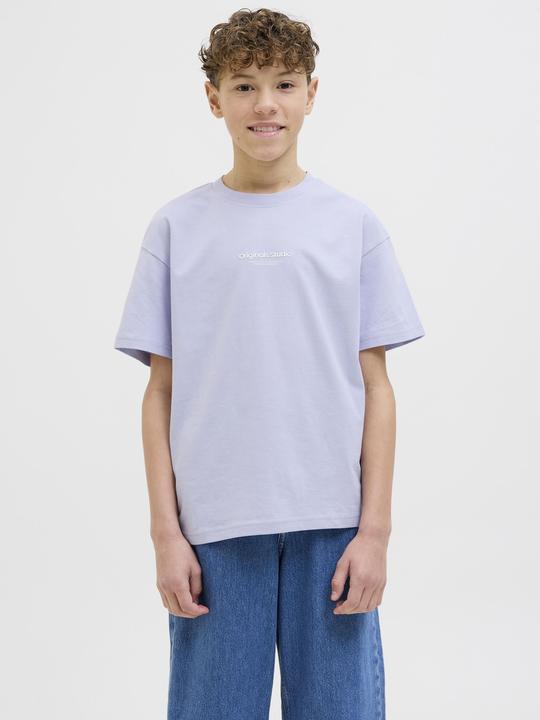 Produktbild Jack & Jones Jorvesterbro Tee Ss Crew Neck Noos Jnr (140)
