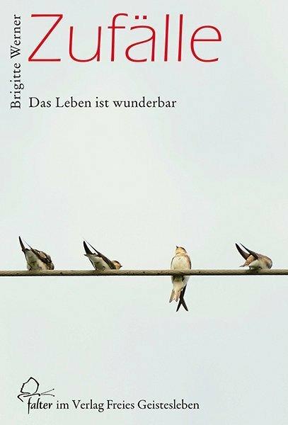 Produktbild Zufälle (Deutsch, Brigitte Werner, 2017)