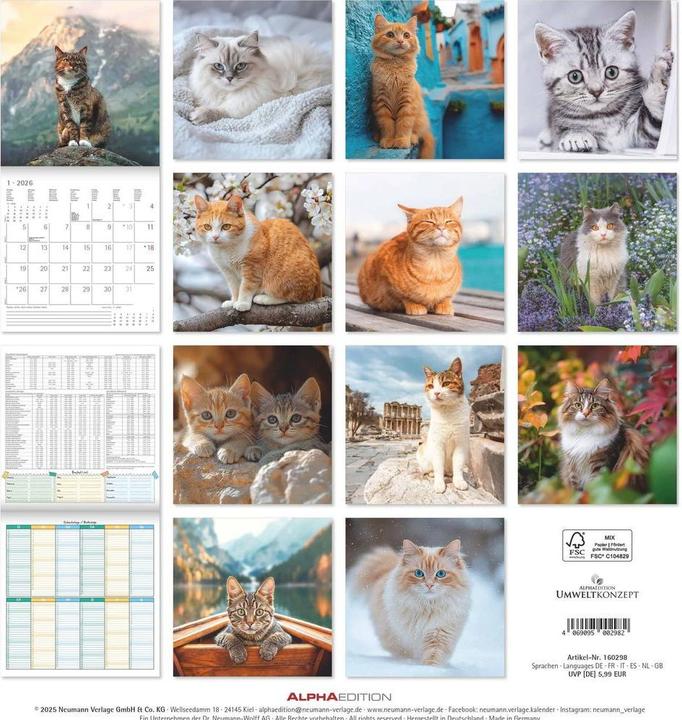 Image du produit Alpha Edition Katzen 2026 - Broschürenkalender 30x30 cm (30x60 geöffnet) - Kalender mit Platz für Notizen - Cats (30 x 30 cm, Couverture rigide, Allemand, Espagnol, Français, Néerlandais, Italien, Anglais)