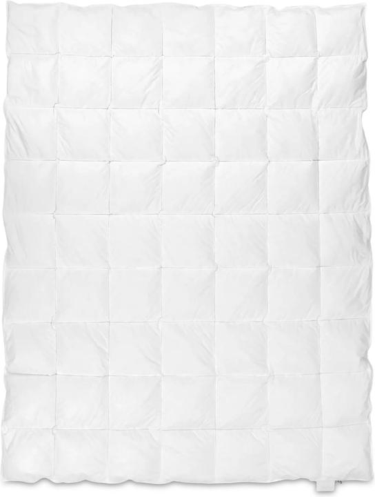 Actual product image Globus Duvet BARCELONA (160 x 210 cm)