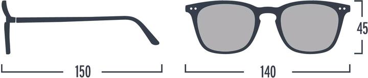 Actual product image Izipizi sunglasses