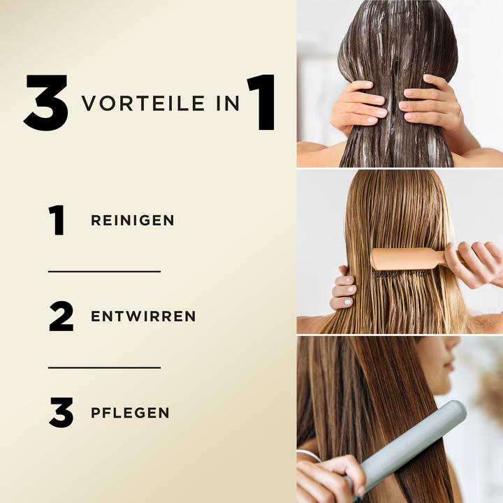 Produktbild Pantene Pro-V Repair & Care 3 in 1 (250 ml, Flüssiges Shampoo)