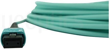 Actual product image BlueOptics Juniper MTP12-FF-M1M compatible MPO-MPO multimode OM3 patch cable 1 metre (U/FTP, CAT7, 1 m)