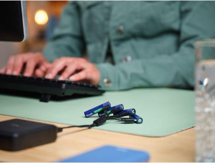 Actual product image Trust USB-C Rechargeable Batteries 4p (4 pcs., AAA, 500 mAh)