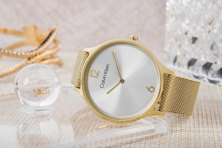 Immagine prodotto Calvin Klein Timeless Mesh Damenuhr 25200003 + BOX