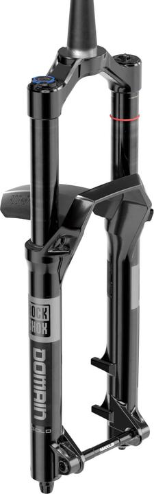 Actual product image RockShox Domain Gold Isolator RC3 (160 mm, Air)