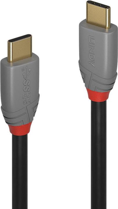 Lindy USB C - USB C (1.50 m, USB 3.2 Gen 2x2, 100 W)