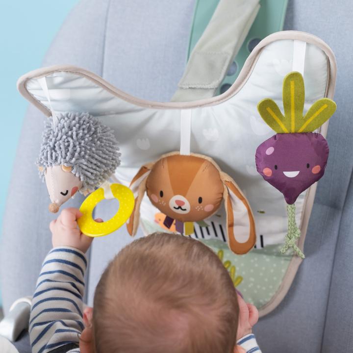 Image du produit Taf Toys Jeu pour la voiture Urban Garden