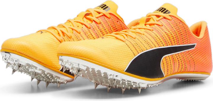 Puma evoSPEED BRUSH 6 (39)