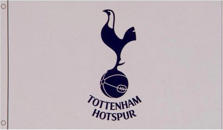 Produktbild Tottenham Hotspur FC Fahne