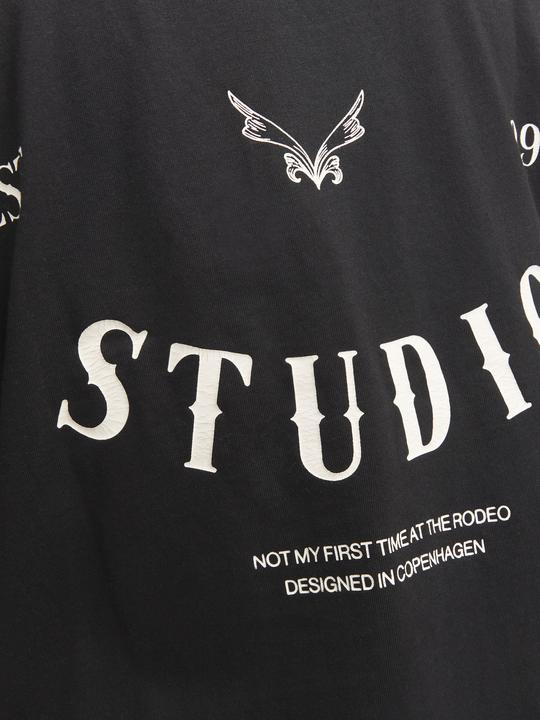 Image du produit Jack & Jones Joraustin Font Tee Ss C.N Styd Aw24 (M)