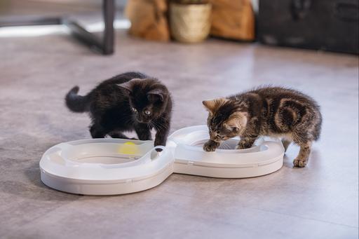 Actual product image Beeztees Bz Kitten Pl Game Rail Agty (Cat activity toy)