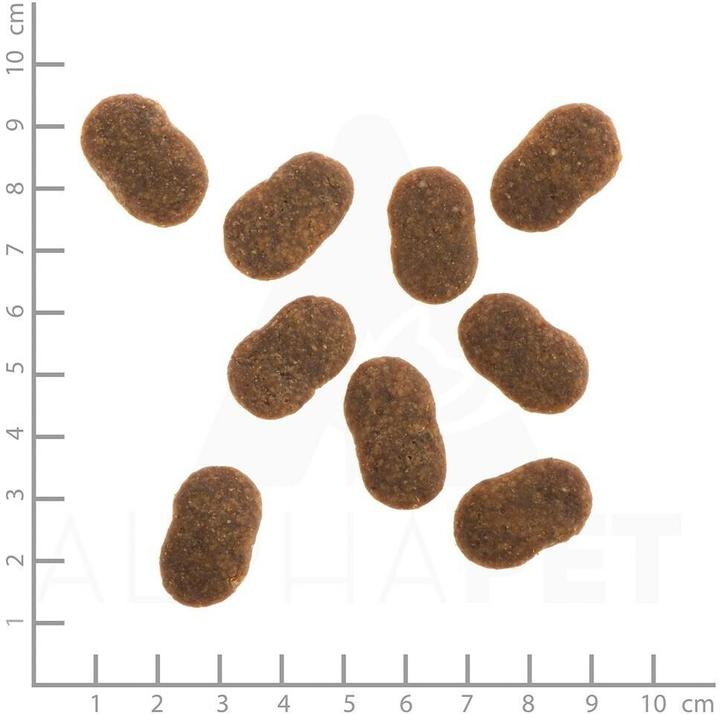 Actual product image Wildes Land Dry food beef with potatoes & wild herbs, 12 kg (Adult, 2 pcs., 12000 g)