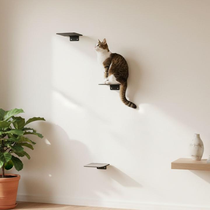 Image du produit LucyBalu STEPS Katzentreppe (Chat)