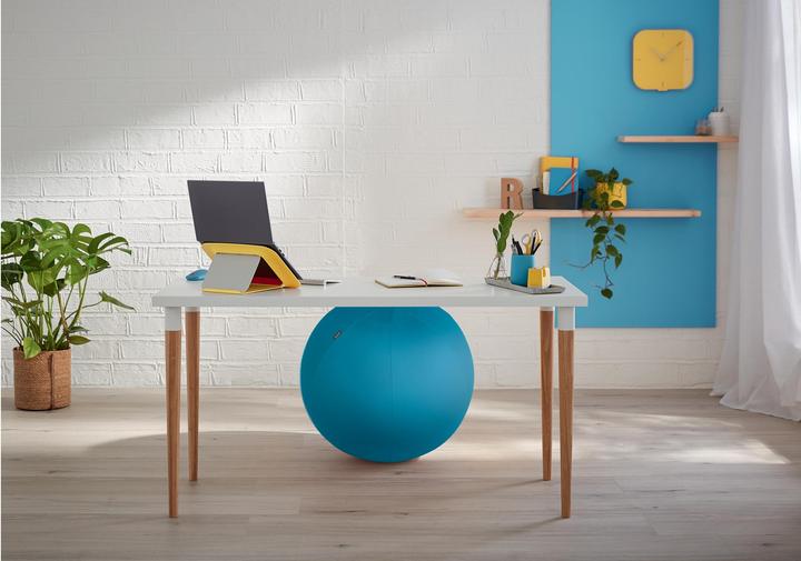 Immagine prodotto Leitz Palla per sedersi Ergo Cosy Active (65 cm)