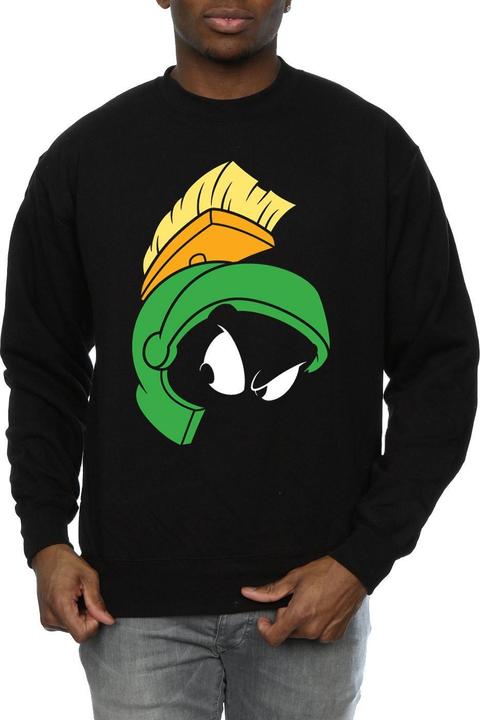Actual product image Looney Tunes Sweatshirt (M)