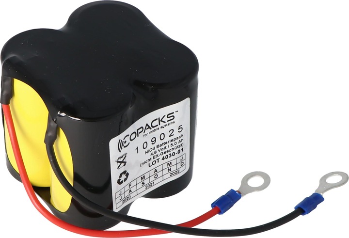 Actual product image AccuCell Battery Ceag CW270
