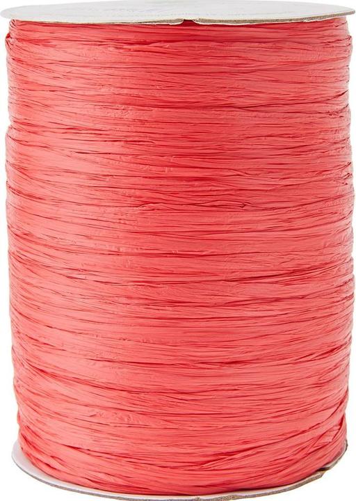 Produktbild Pattberg Raffia-Bastband Rayon (1x)