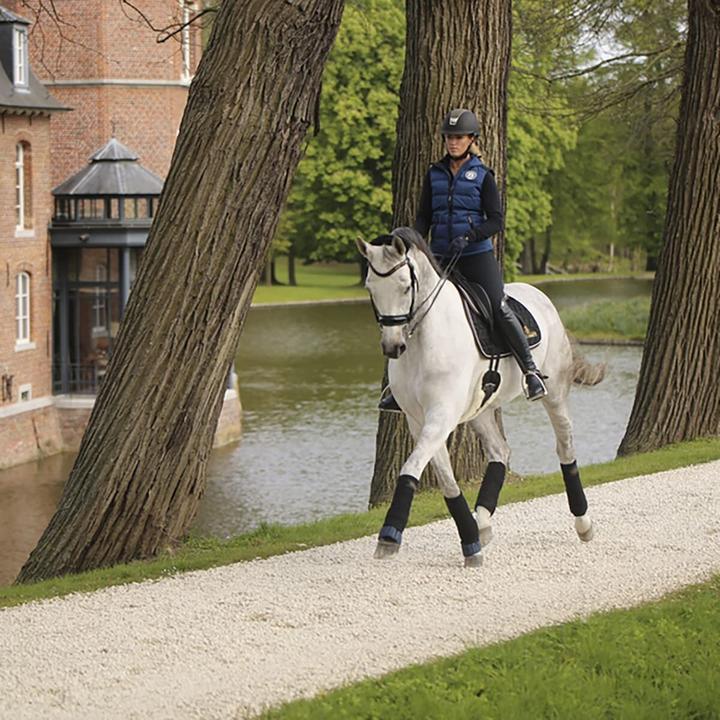 Produktbild Kentucky Horsewear Bandagierunterlagen Arbeit Absorb 4er-Set