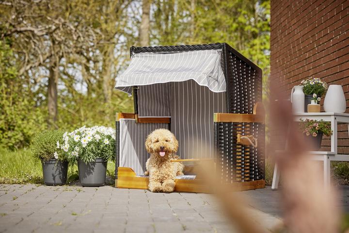 Image du produit Wolters Genévrier (Chien)