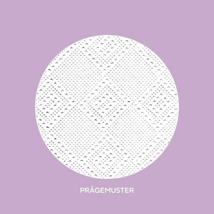 Image du produit Wepa Feuille de papier de nettoyage à la main LPCB2120, 120 feuilles, 20.6 x 32, cellulose, (25pcs) (1x)