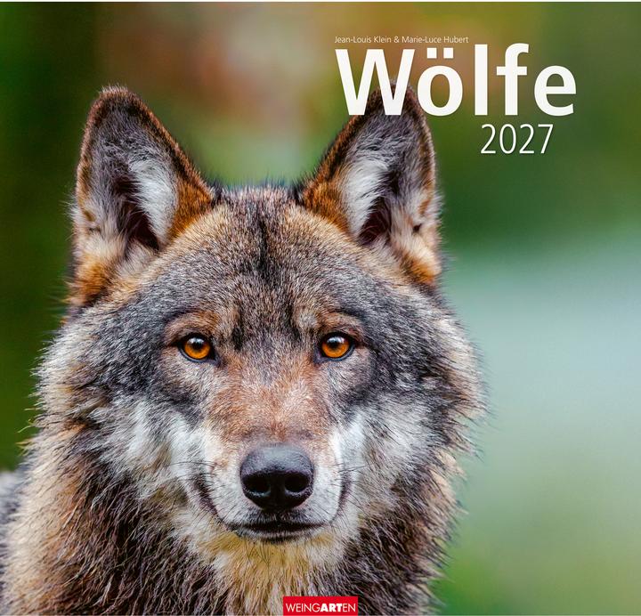 Immagine prodotto Wölfe Kalender 2027