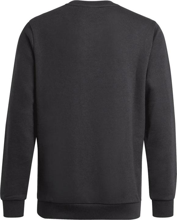 Immagine prodotto adidas Essentials Felpa Grande Logo Ragazzi (134)