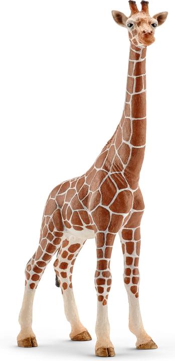 Actual product image Schleich Giraffe Cow