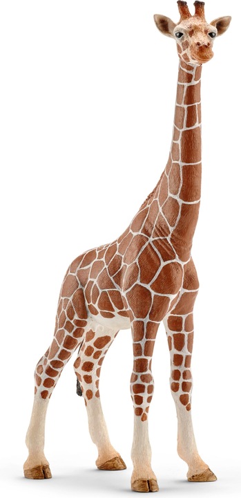 Schleich Giraffe weiblich