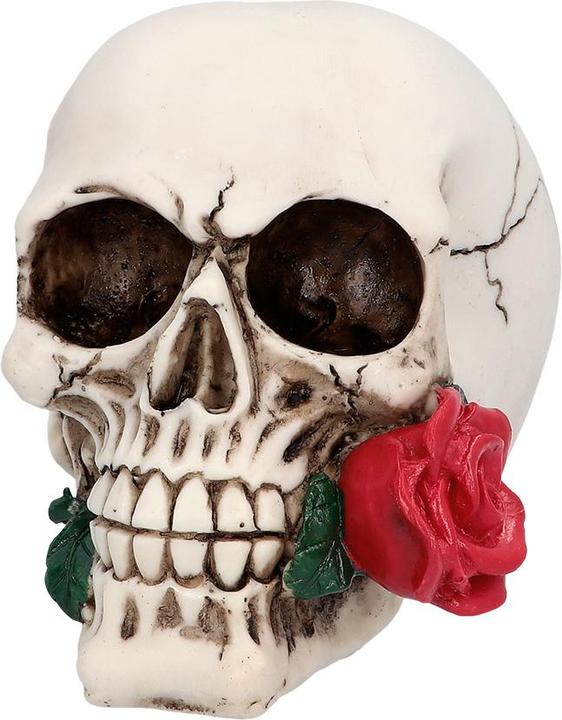 Boland Totenkopf Schädel Casanova (1 Stück)