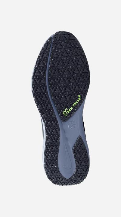 Produktbild Nike Pegasus 41 GORE-TEX (43)