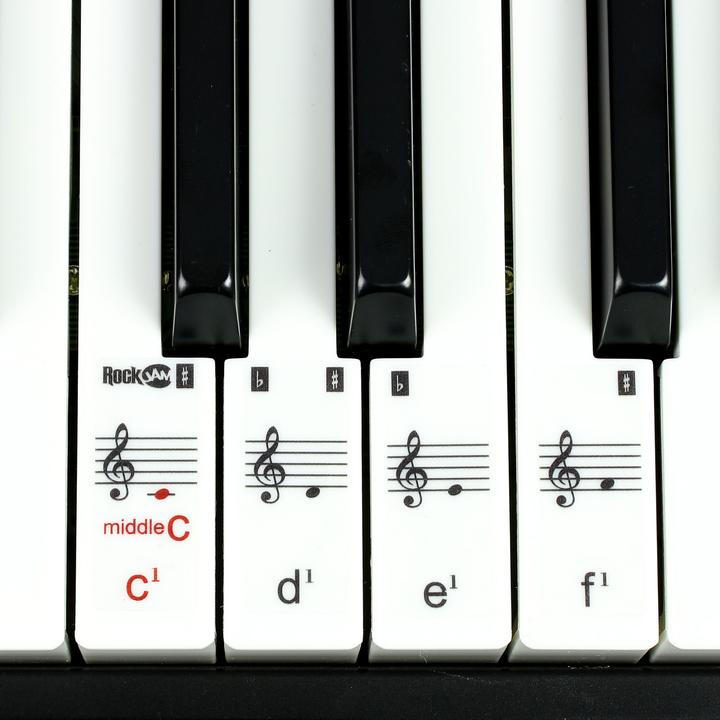 Actual product image PDT 49 Keyboard Keyboard with Wired MIDI 5 (49 Keys)