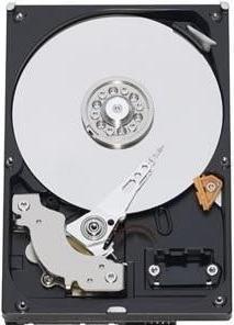 Actual product image WD Blue (1 TB, 3.5")