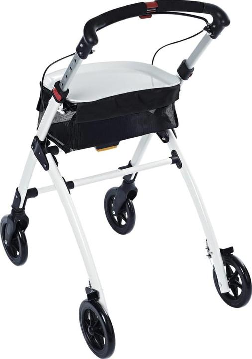 Actual product image Ridder Wohnraum-Rollator