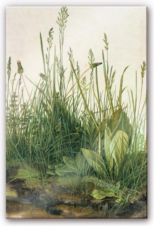 Actual product image Trenddeko Dürer - The great lawn (100 x 150 cm)