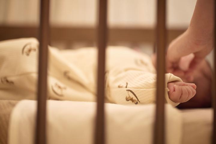 Actual product image Jollein Sleeping bag with detachable sleeves Horse (70 cm, All-season)