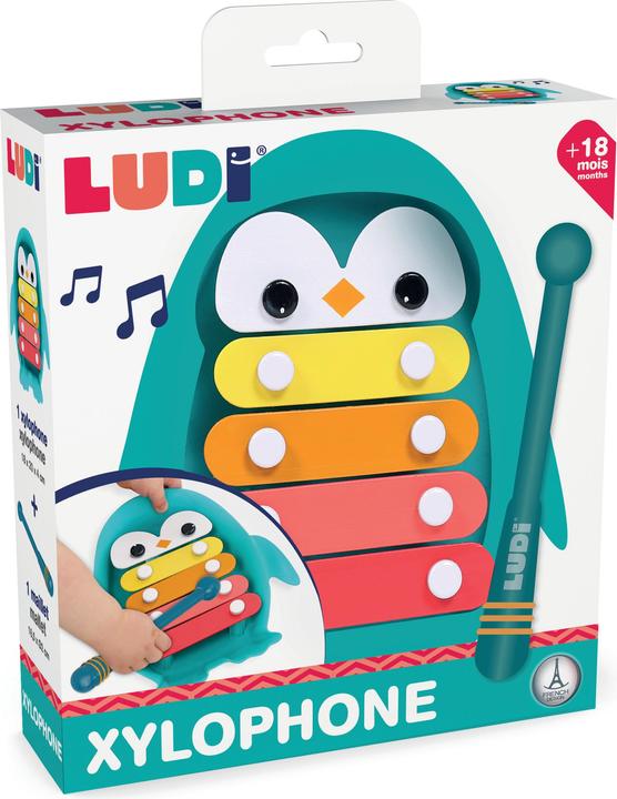 Actual product image LUDI 30081