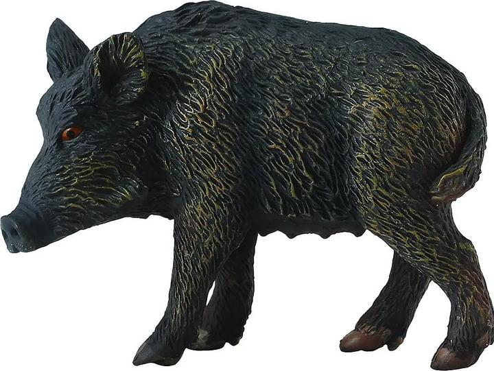 Image du produit Collecta SANGLIER - BICHE (M)
