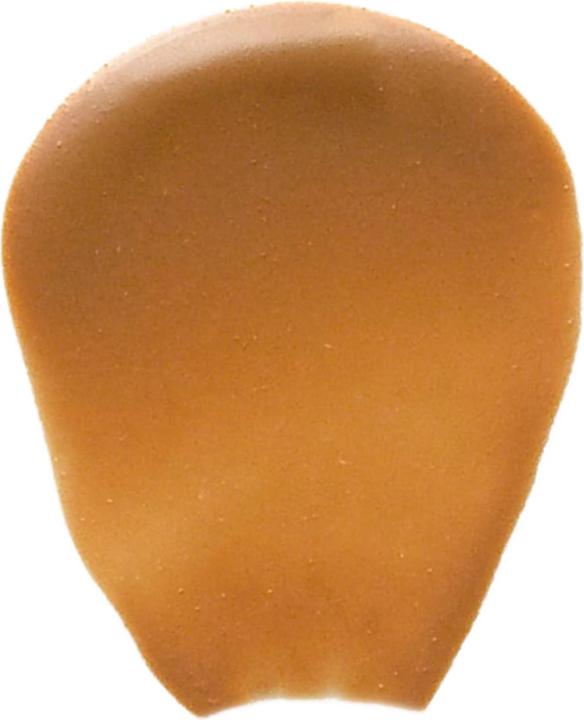 Produktbild Bobbi Brown Nude Finish Tinted Moisturizer SPF 15 (Medium to Dark)