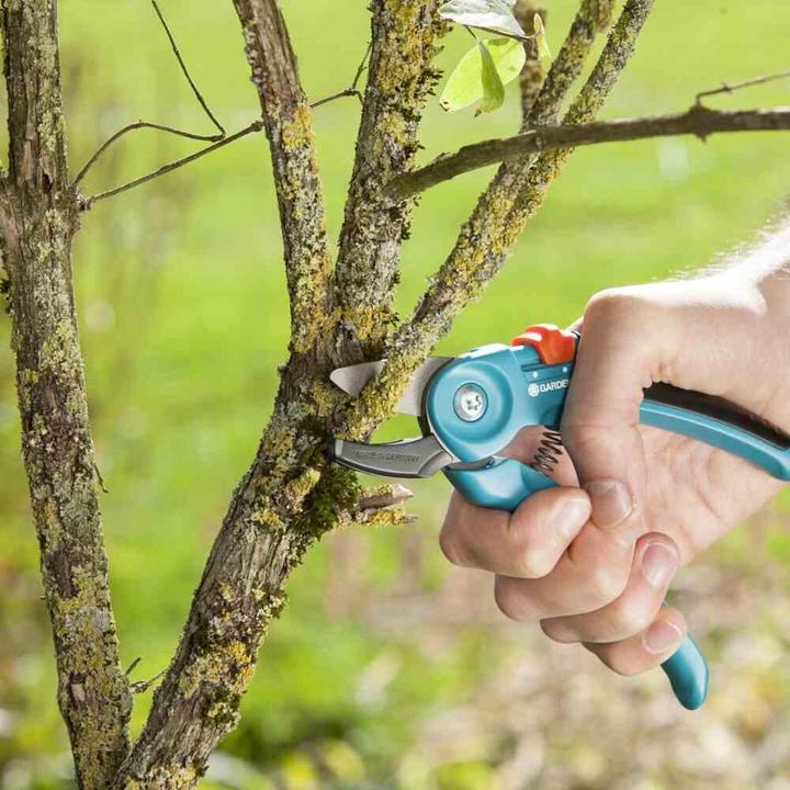 Image du produit Gardena Enclume classique