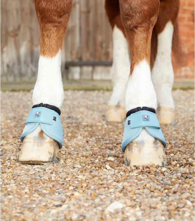 Image du produit Premier Equine Ballistic (M)